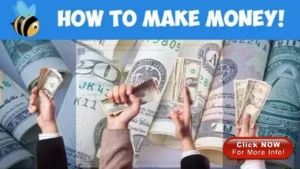 Stress Free Local Business Online Marketing Breed Cats 1280 x 720 px